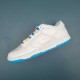 Nike Dunk Low White Grey Blue Men Casual Shoes