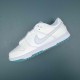 Nike Dunk Low GS White Grey Teal Silver Green White Women Casual Shoes