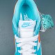 Nike Dunk Low Miami Dolphins Men Sports Shoes DV0833-102