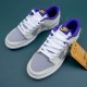 Nike Dunk Low Union Passport Pack Court Purple Men Shoes