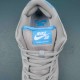 Nike SB Dunk Low Iron Low Men Shoes 304292-022