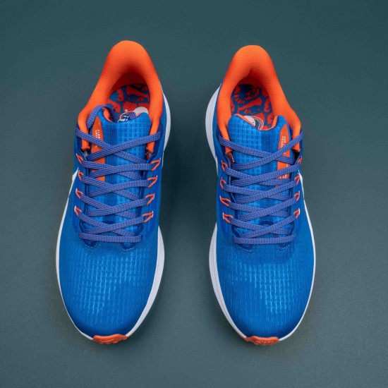 Nike Air Zoom Pegasus 39 BlueRunning Shoes For Men