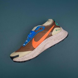 Nike Pegasus Trail BrownRunning Shoes For Men 