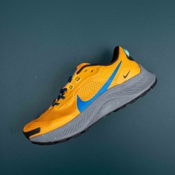 Nike Pegasus Trail Orange Blue Running Shoes For Men 