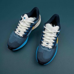 Nlke Air Zoom Pegasus 39 Black Blue Gray Running Shoes For Men 